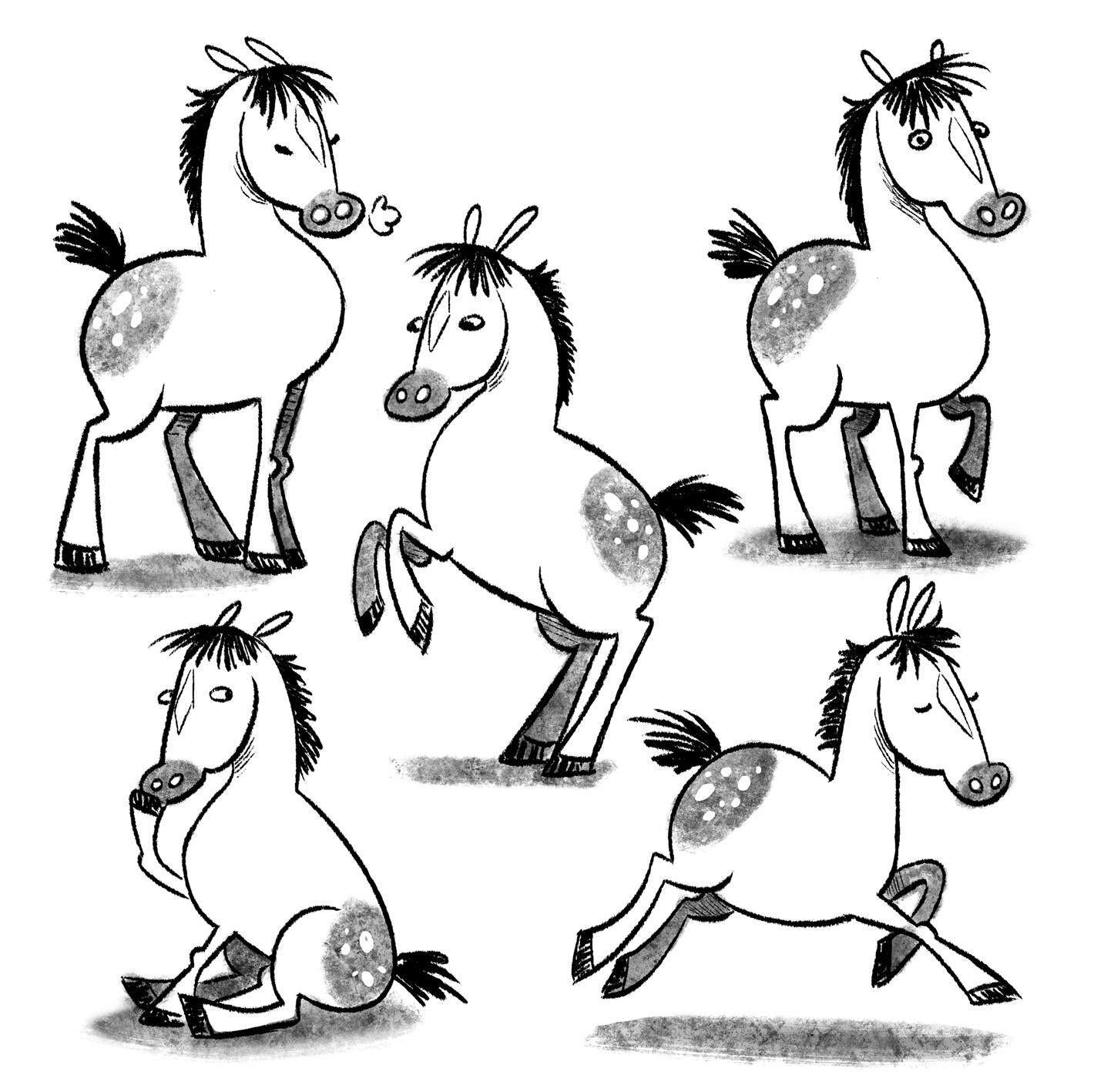 Black and White Horsey